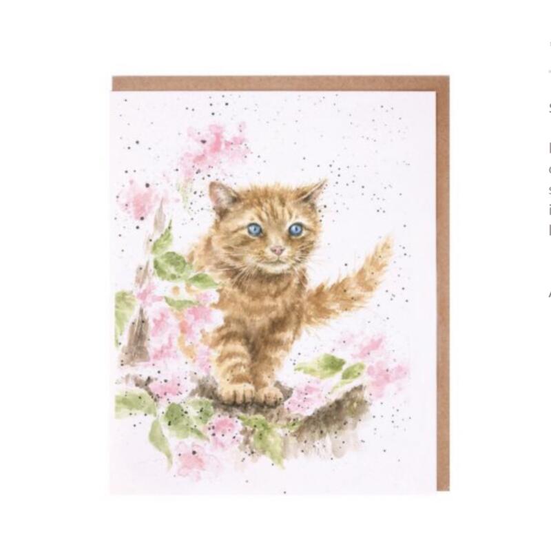 'The Marmalade Cat' card